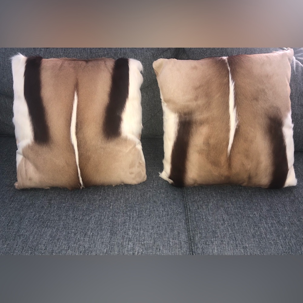 SpringBok pillows